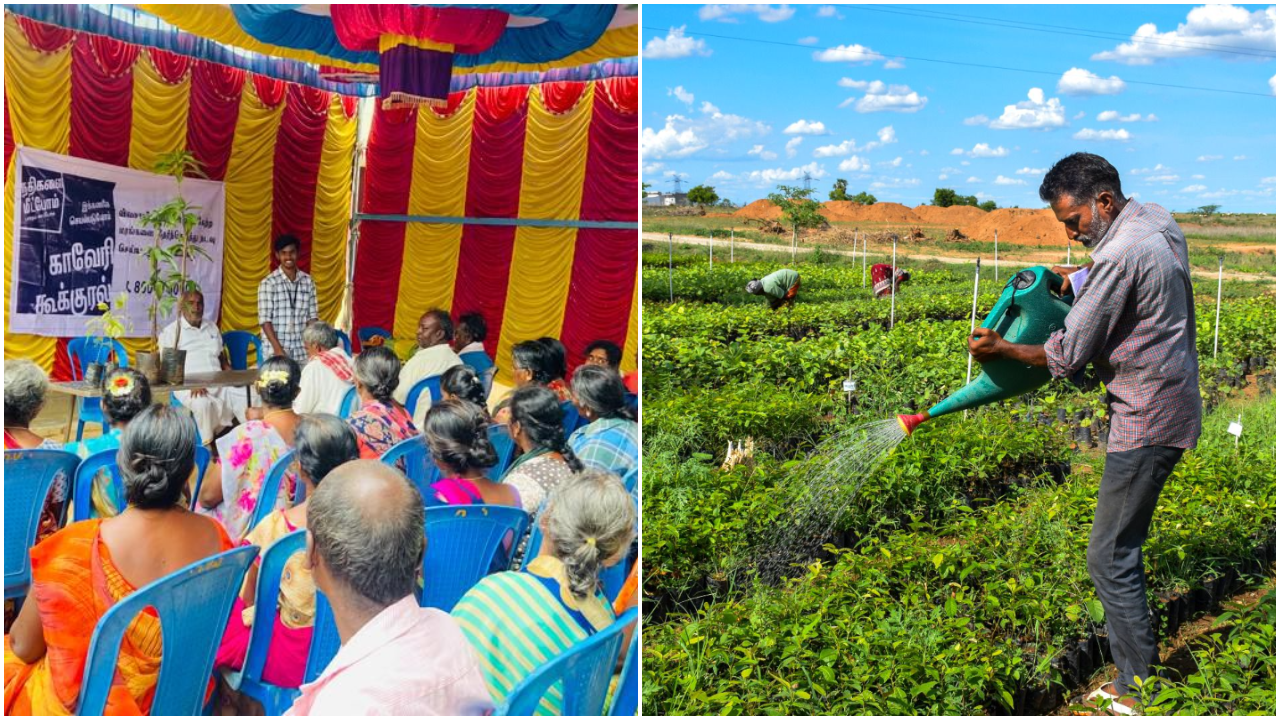 2 Crore Saplings Planted In Cauvery Basin In A Year