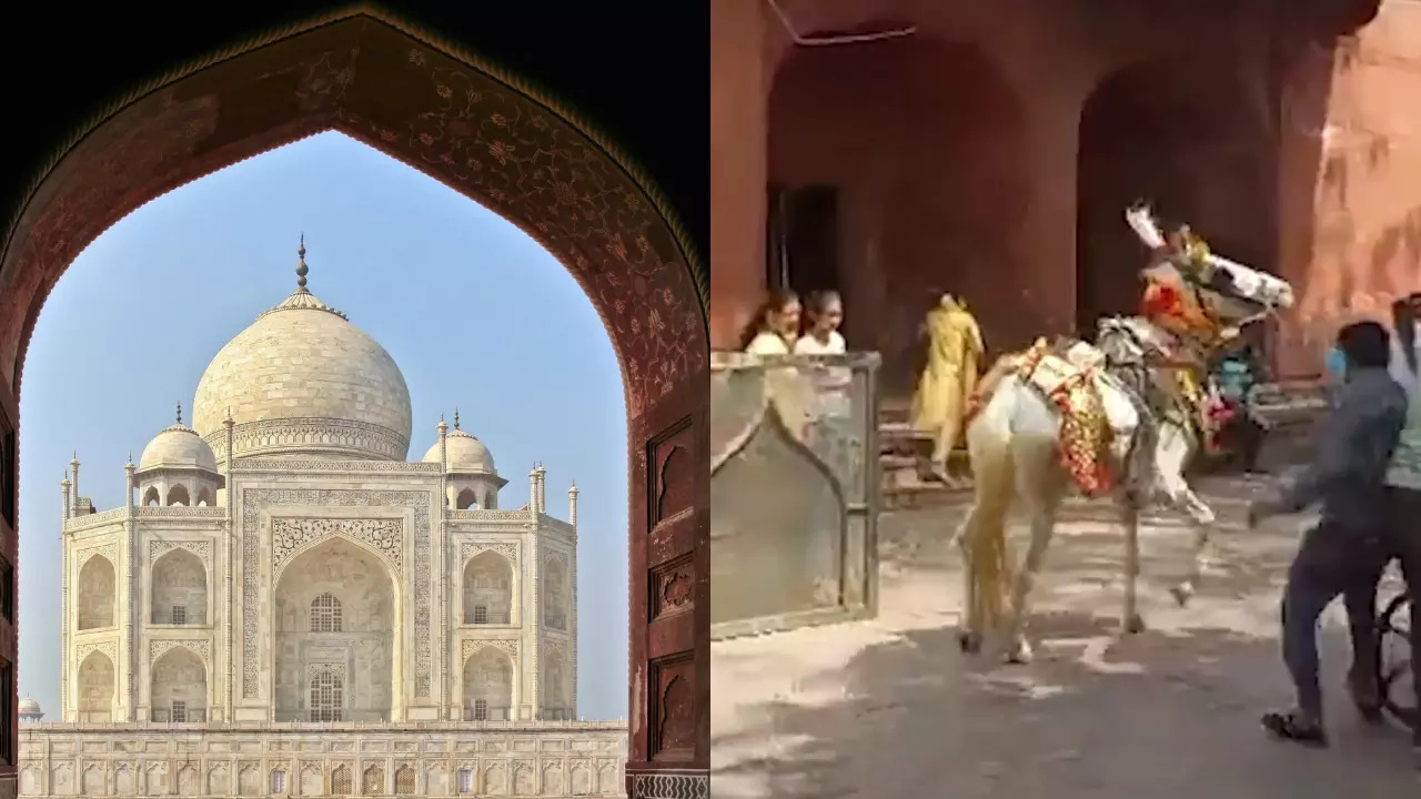 An equestrian strangles a runaway horse outside the Taj Mahal Complex. | Courtesy: Wikimedia Commons