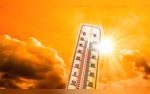 Bengaluru Records One Of The Hottest Days In Years Heatwave Alert In Karnataka
