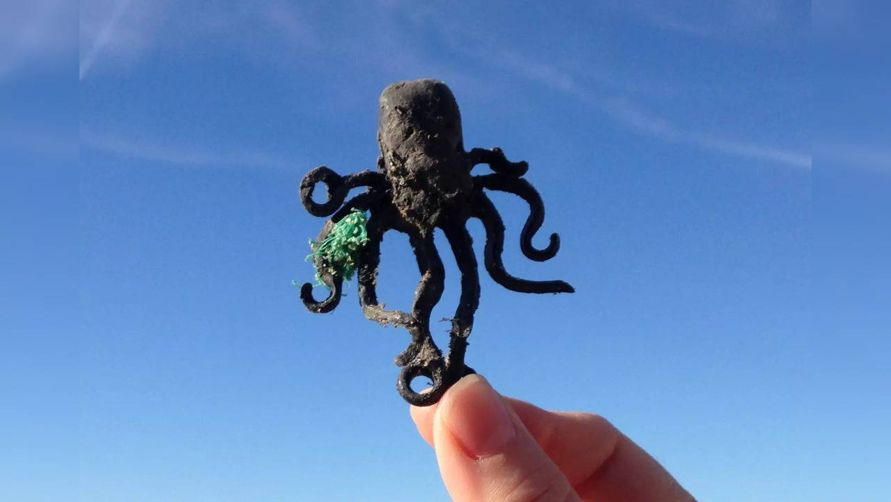 'Holy Grail' Lego Octopus Found By Beachcomber