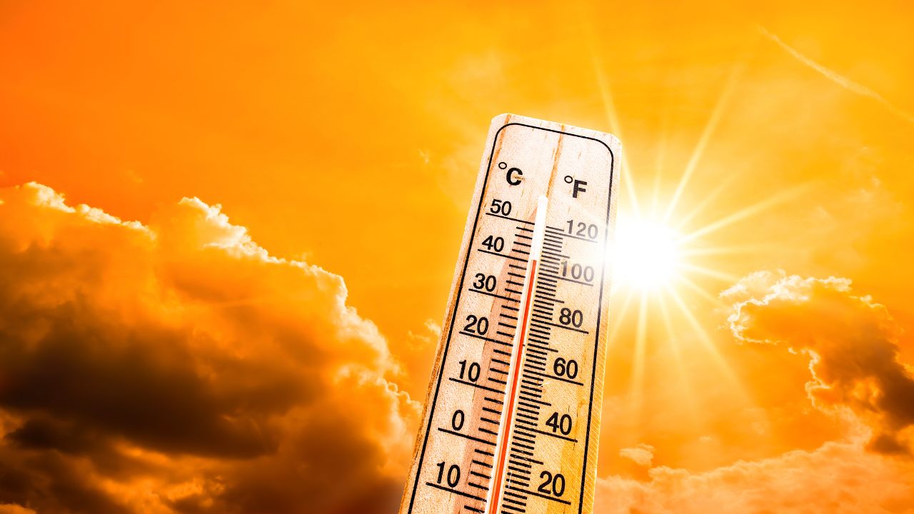 IMD Forecasted A Severe Heatwave Expected In West Bengal, Odisha, Bihar | Thunderstorm, Hailstorm Likely In Himachal, Uttarakhand and Punjab