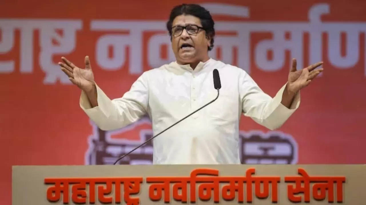 Raj Thackeray Sabha