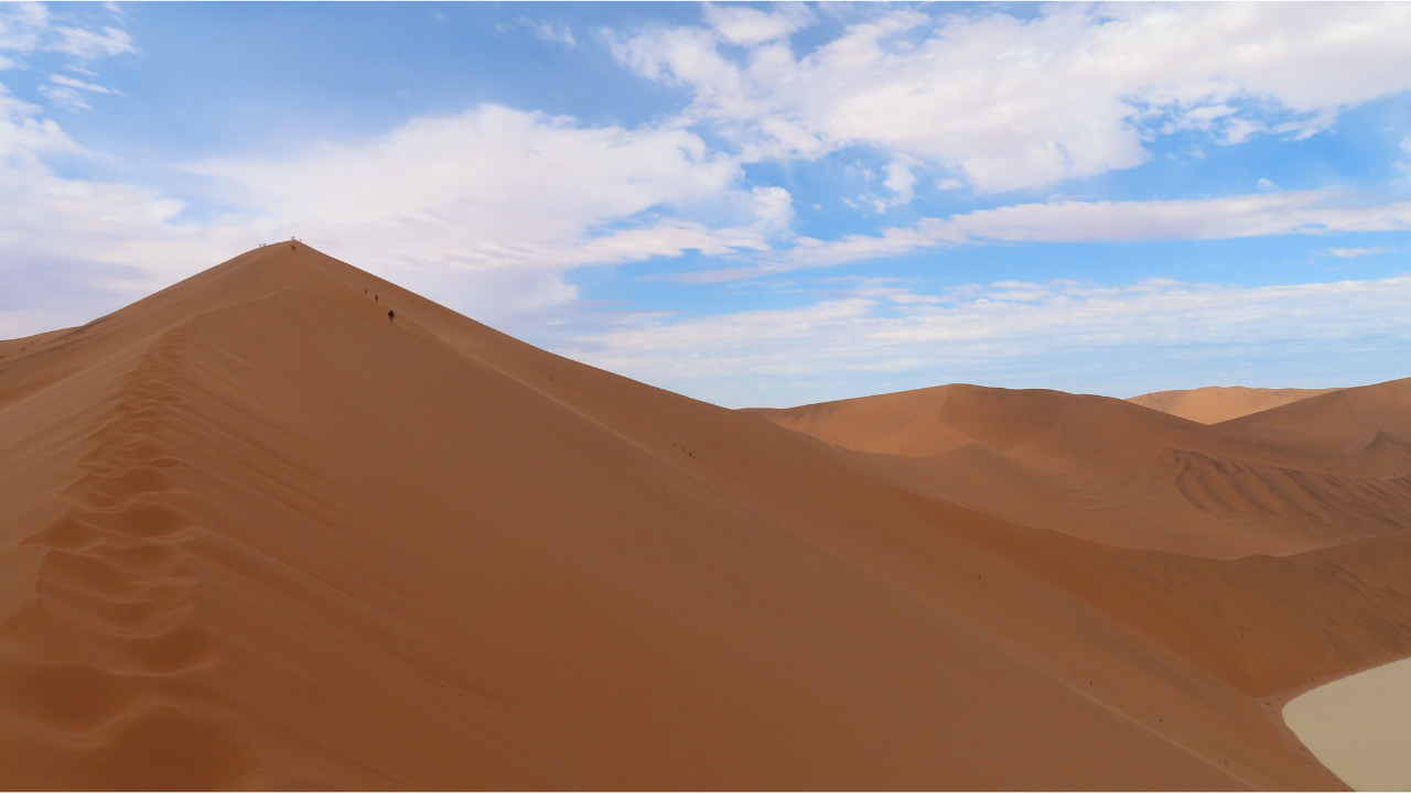 Namibia Condemns Tourists Who Pose Naked In Popular Dune | Times Now