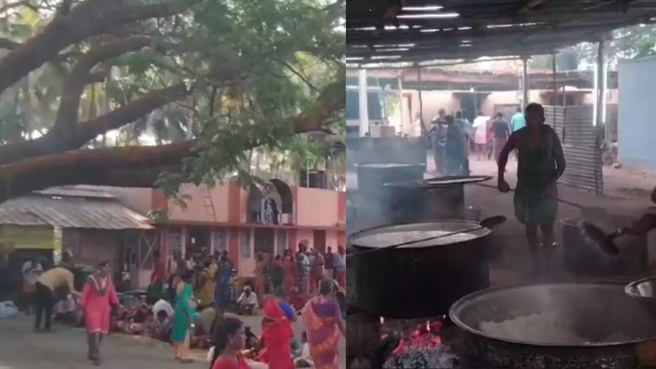  500 கிடா... 300 கோழிகள்.. கருப்பணசாமி கோவிலில் கமகமக்கும் கிடா விருந்து 