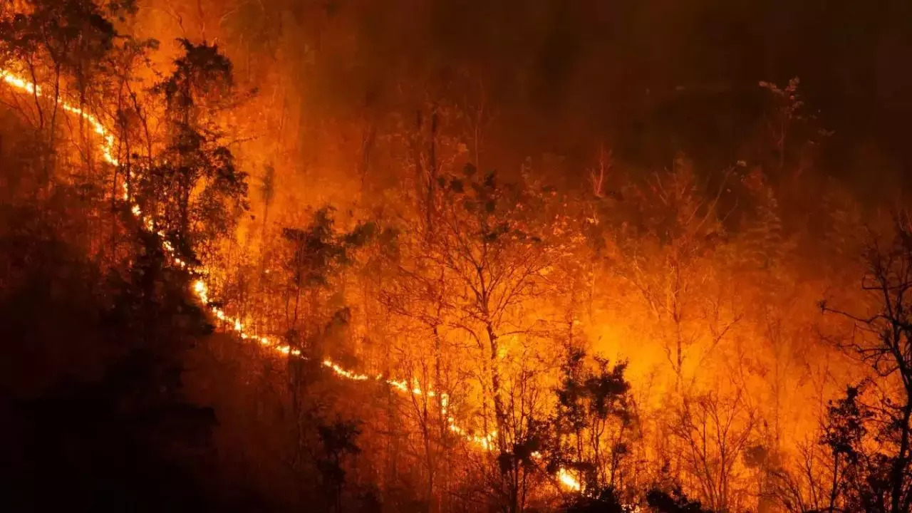 47 New Fires Raze Uttarakhand Forest Lands