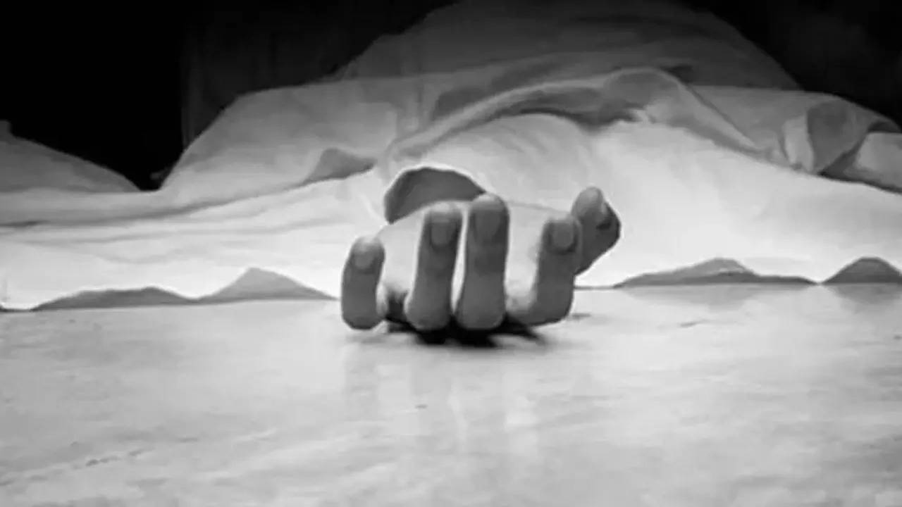 Man Kills Ayurvedic Doctor, Wife In Chennai After Feeling Humiliated