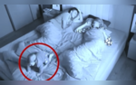 Watch Parents Face Worst Nightmare As Toddler Crawls Out Of Bed At Night Dont Miss The End