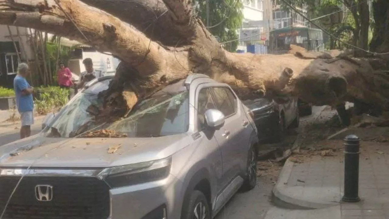 Bengaluru, Karnataka