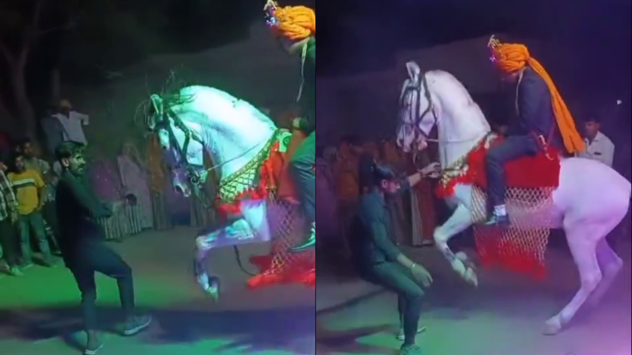 Man Grooves With Baarat Wali Ghodi With Groom On Top, Viral Video Amazes Netizens