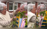 Watch Husband Plants Cherry Blossom Tree for Wifes 73rd Birthday Viral Video Is Pure Love