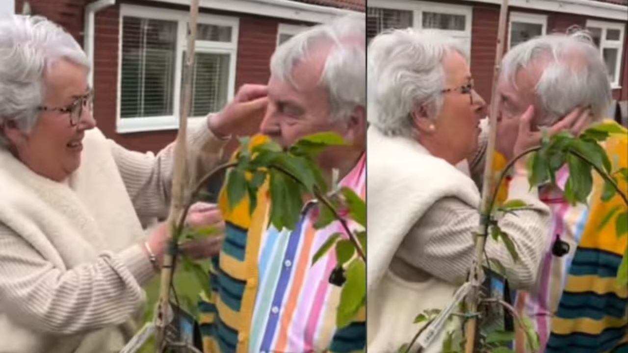 Watch: Husband Plants Cherry Blossom Tree for Wife's 73rd Birthday. Viral Video Is Pure Love