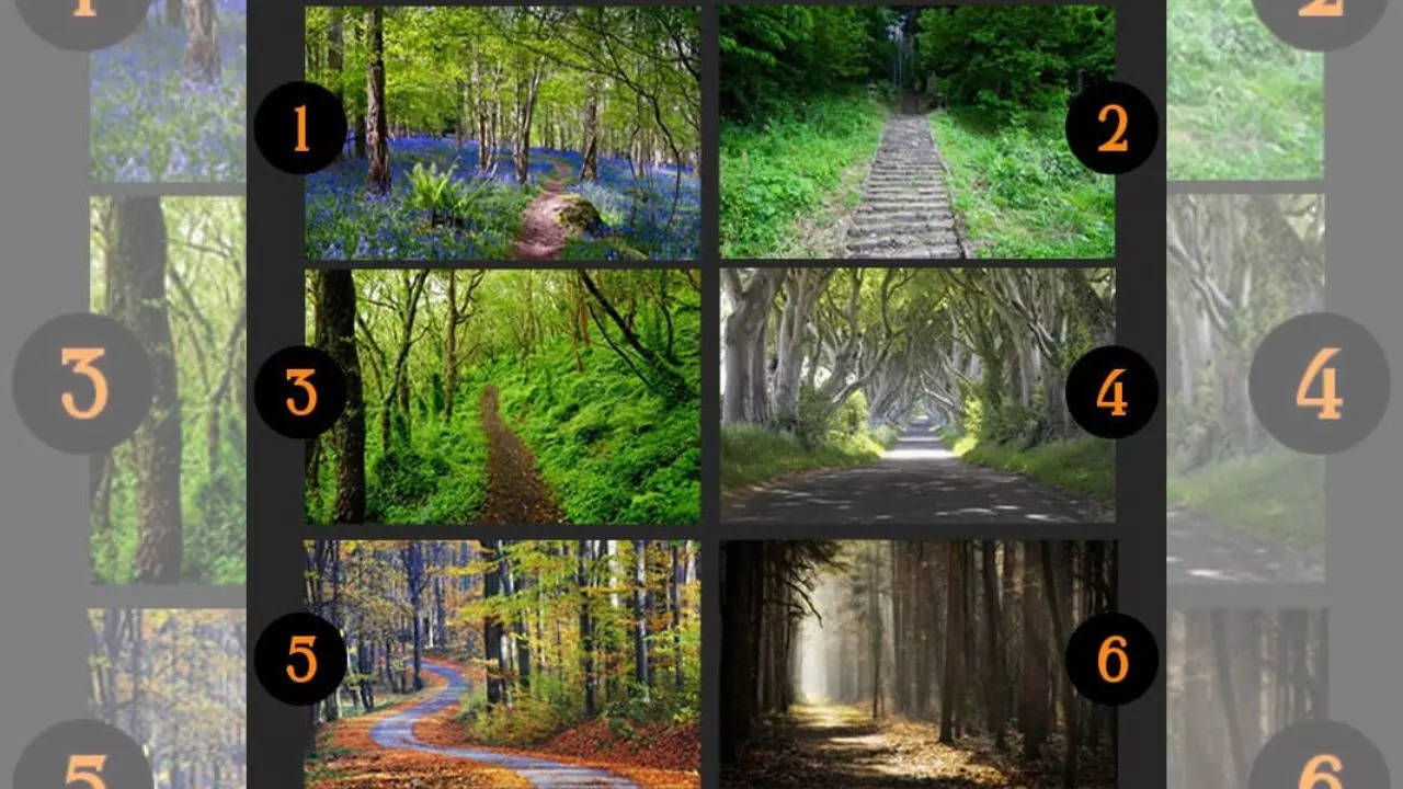 Personality Test: The Path You Choose Will Show Your Hidden Traits. Credit: themindsjournal