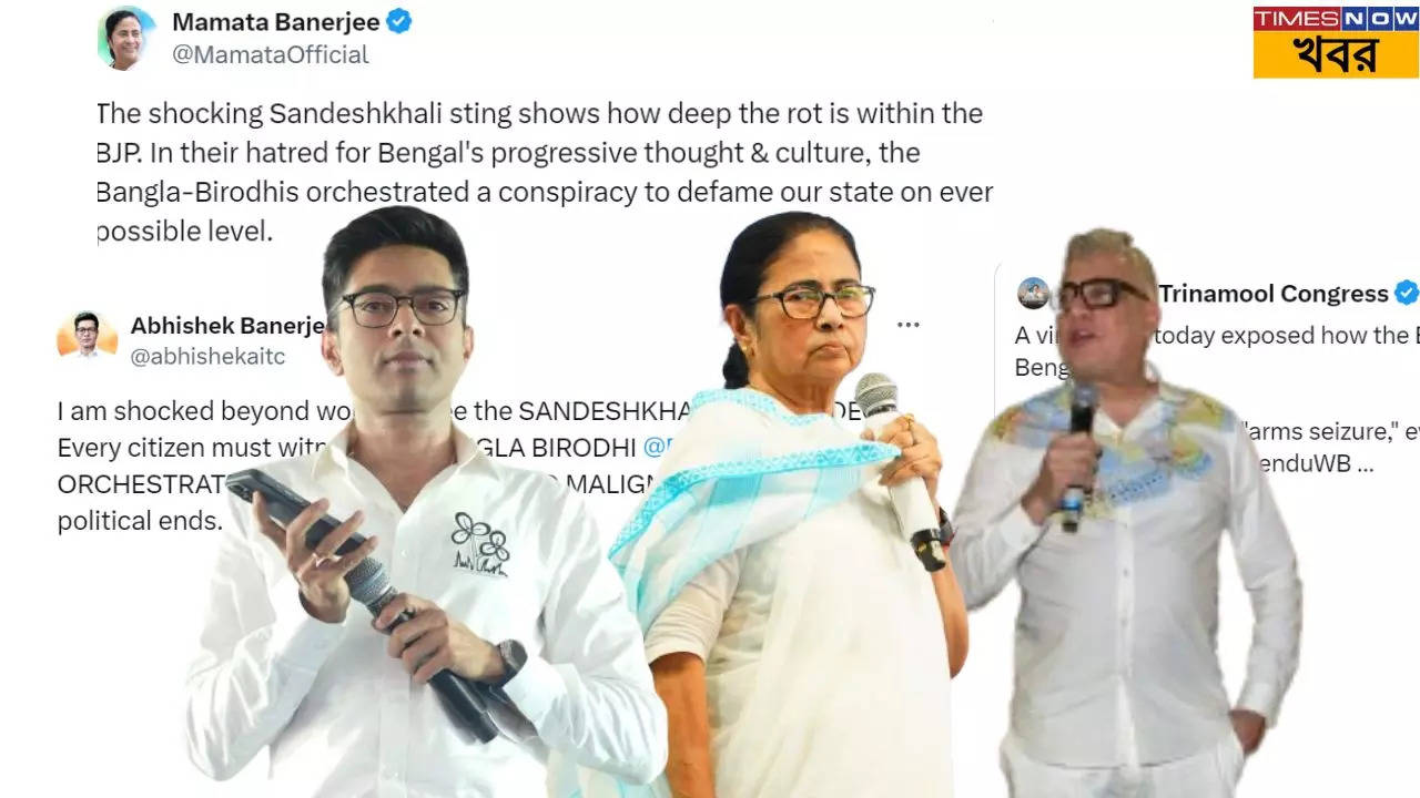 Mamata Banerjee (5)