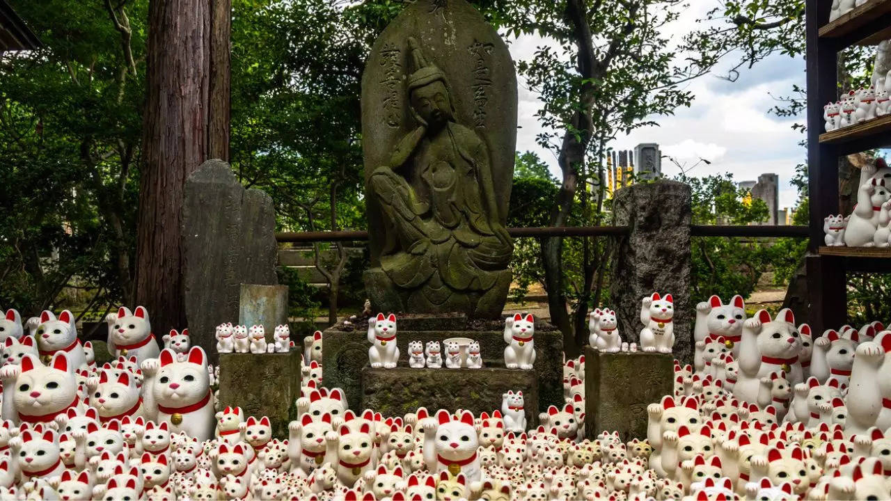 Gotokuji Temple or the cat temple of Tokyo. Credit: iStock