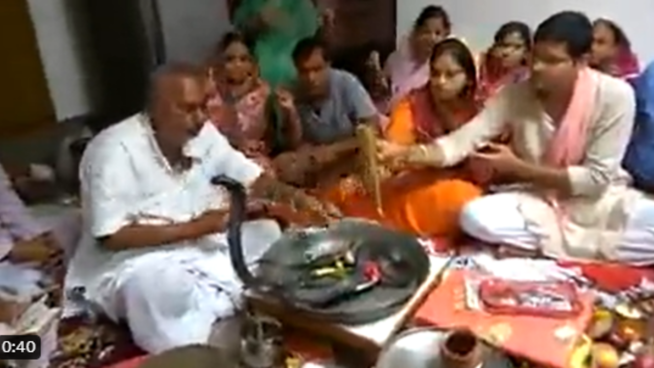 Internet Lauds Family's Courage as they Perform Puja with Live Black Cobra.