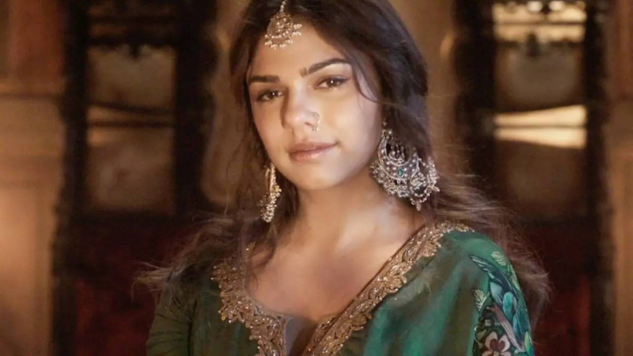 Sanjay Leela Bhansali's Niece Sharmin Sehgal Aka Heeramandi's Alamzeb Turns Off Comments Amid Brutal Trolling