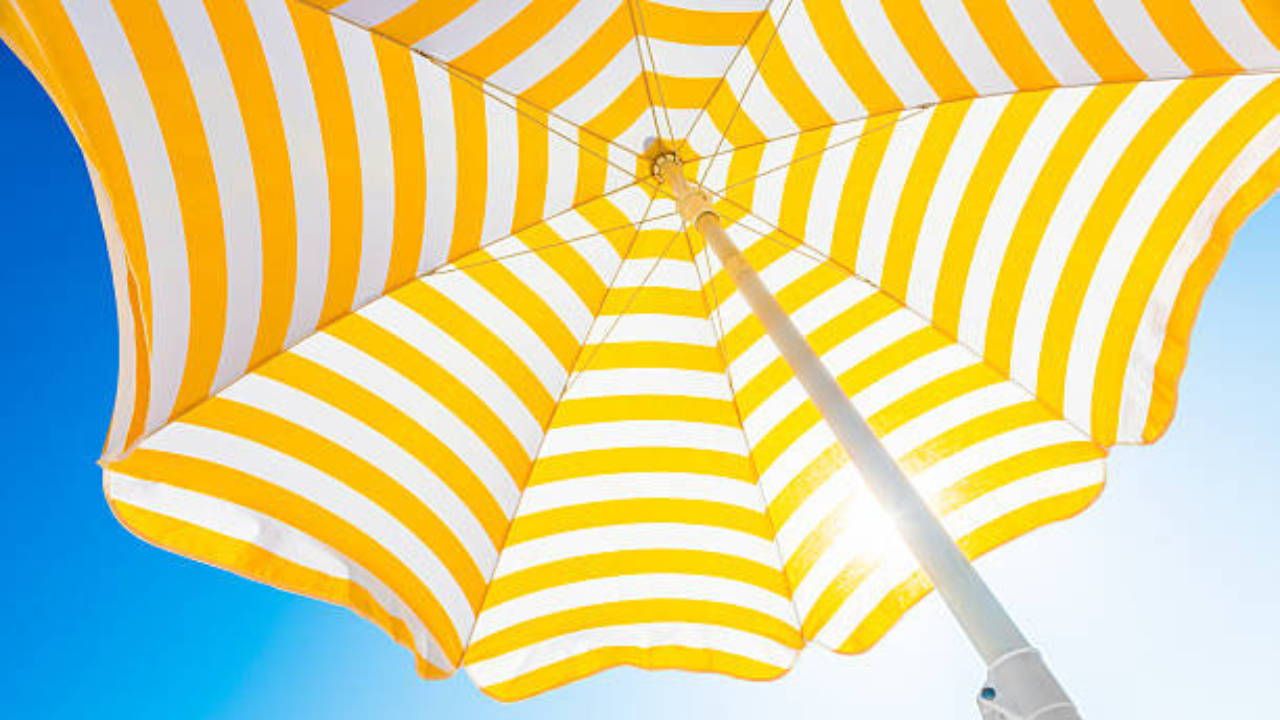 black umbrella protects against the sun's uv rays imd scientists revealed