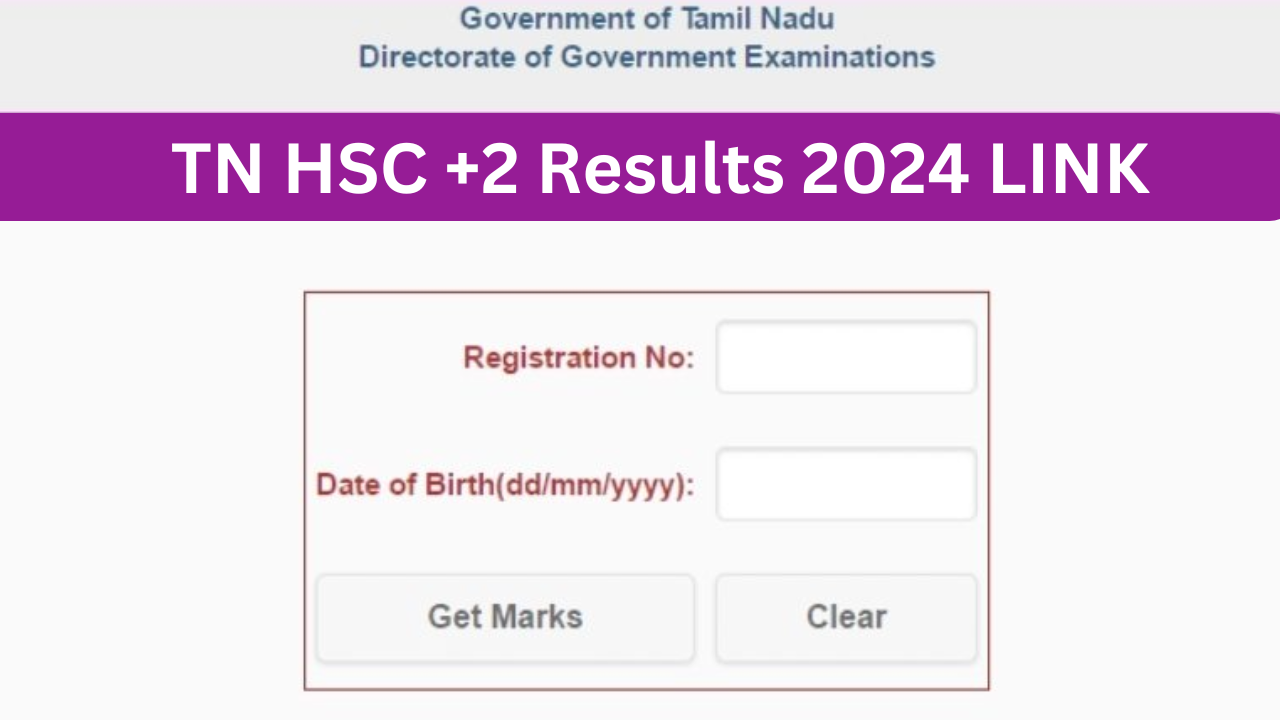 www.tnresults.nic.in 2024 Result