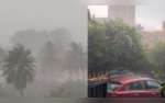 Bengaluru Sees Intense Rain With Thunderstorms Hailstorms Reported in Some Parts of City  VIDEO
