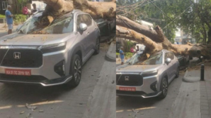 5-Star Safety Honda Elevate Survives Huge Tree Crash In Bengaluru
