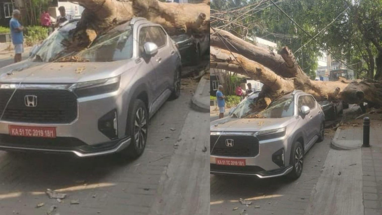 5-Star Safety? Honda Elevate Survives Huge Tree Crash In Bengaluru