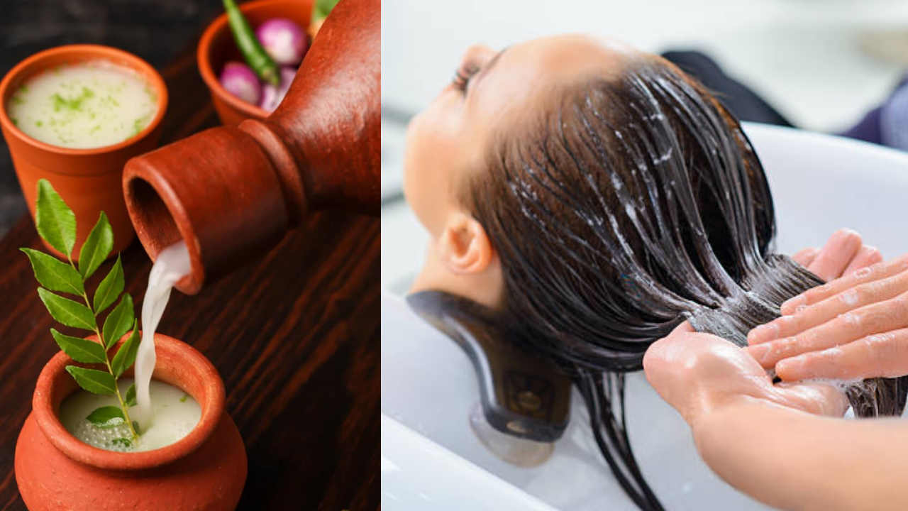 Buttermilk for hair उन्हाळ्यात ताक पिण्यासोबत केसांनाही लावा, होतील