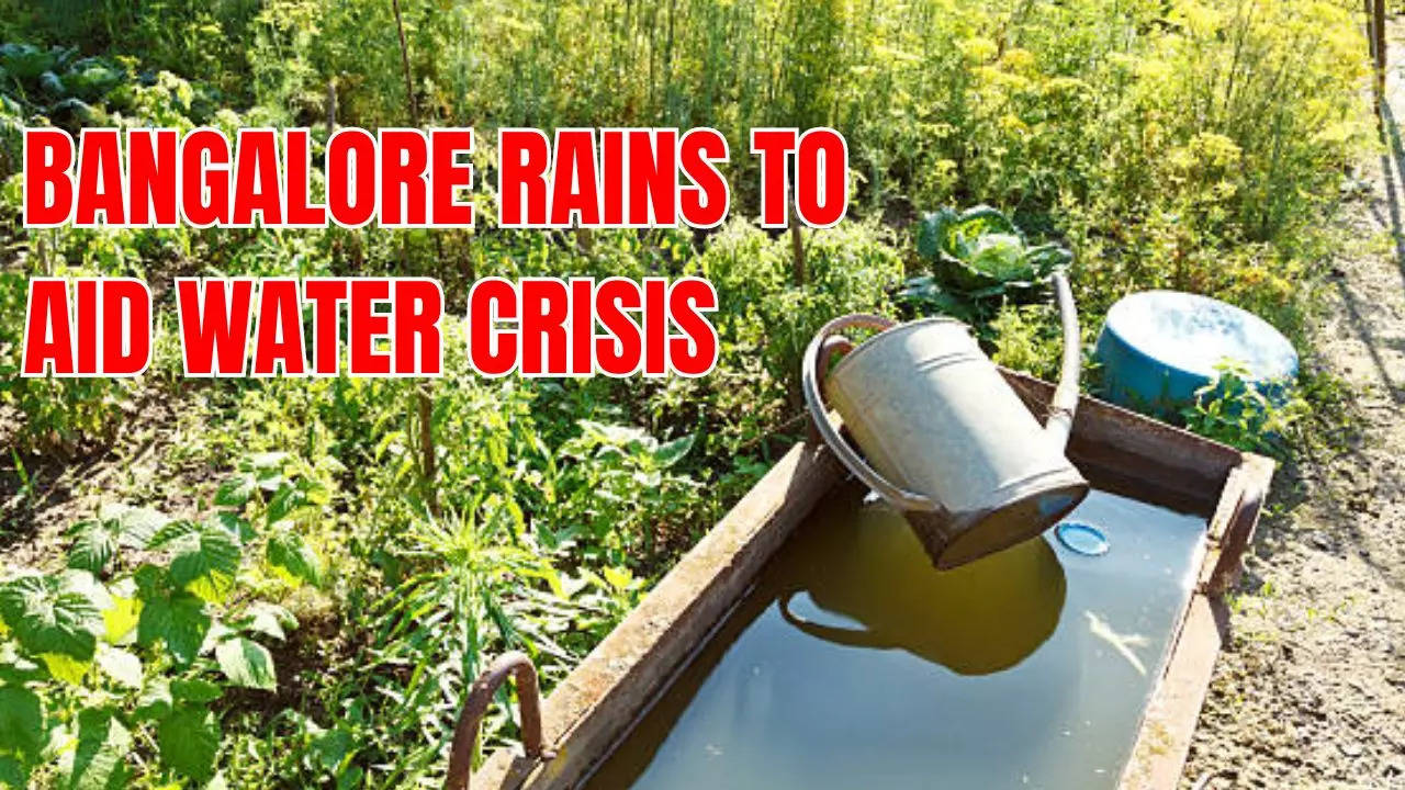 How BBMP Plans to Use Bangalore Rains Against Water Crisis
