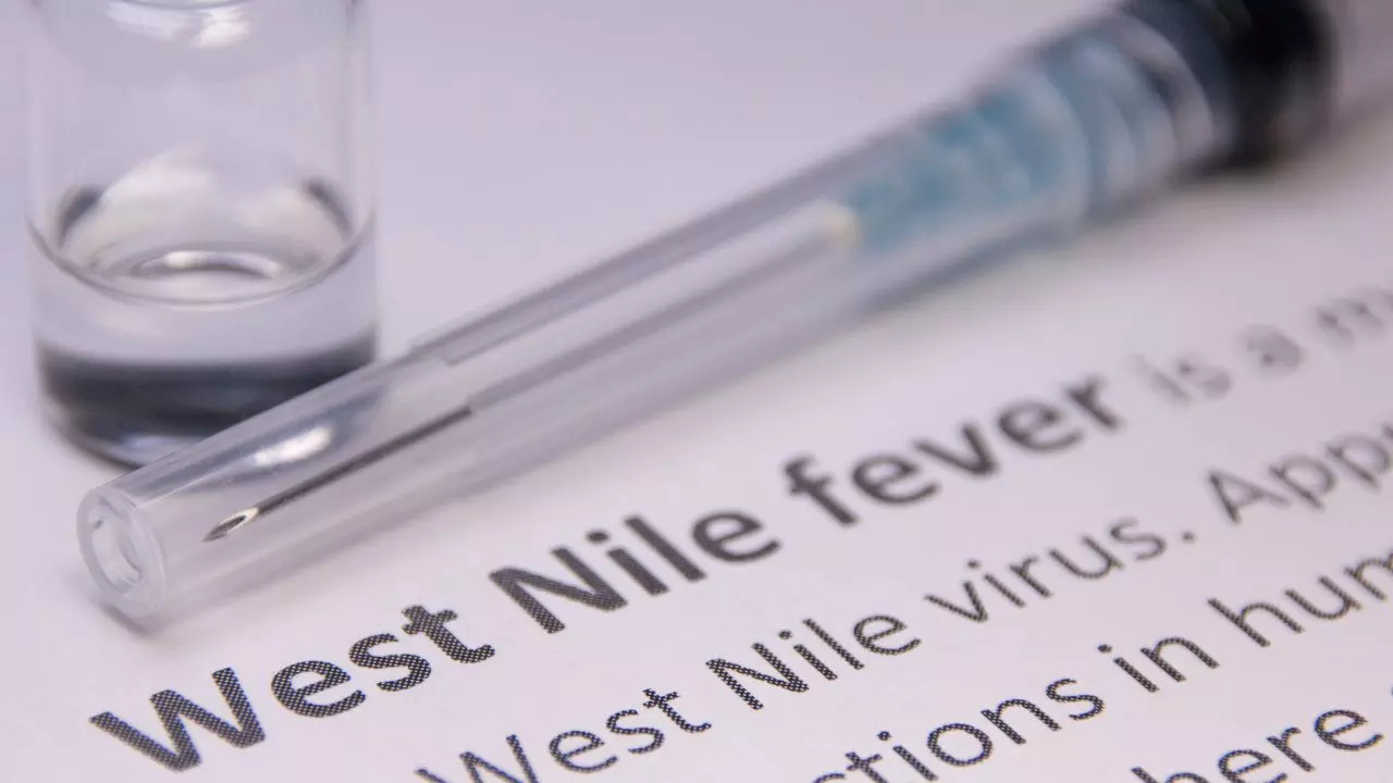 West Nile Fever