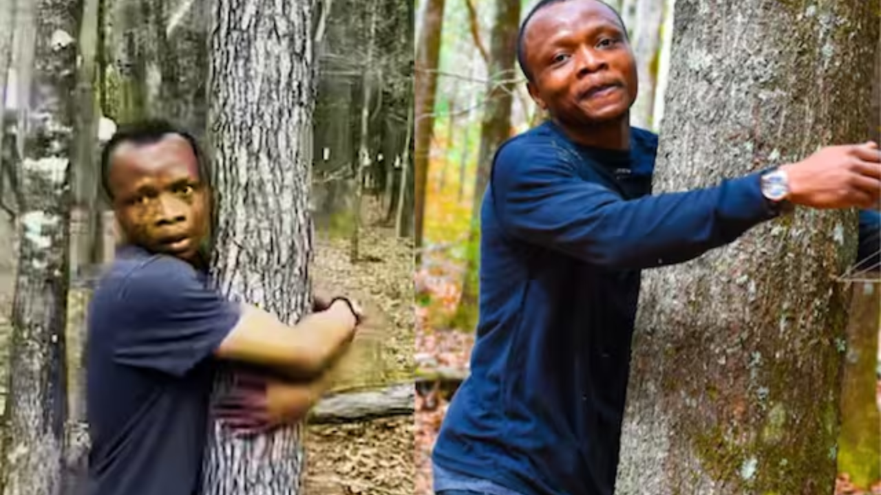 Viral Video: How This Guy Scored a Spot in Guinness World Records by Hugging Over 1,100 Trees