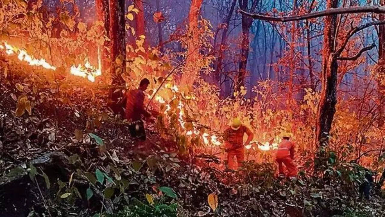 uttarakhand forest fire