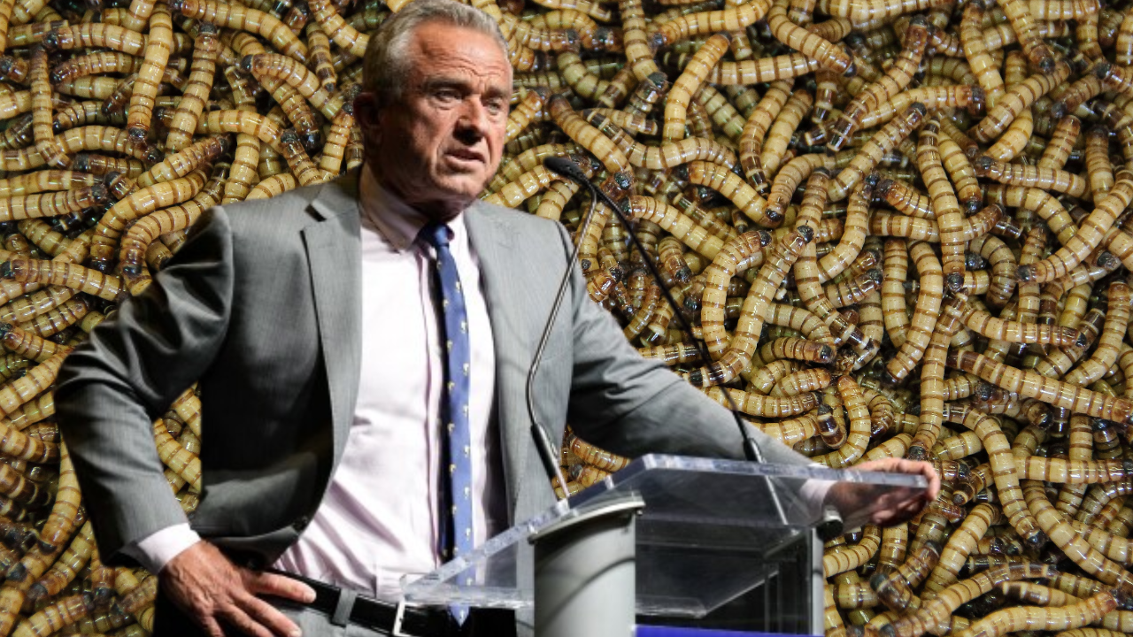 RFK Jr's 'Brain Worm' Report Sparks Meme Fest