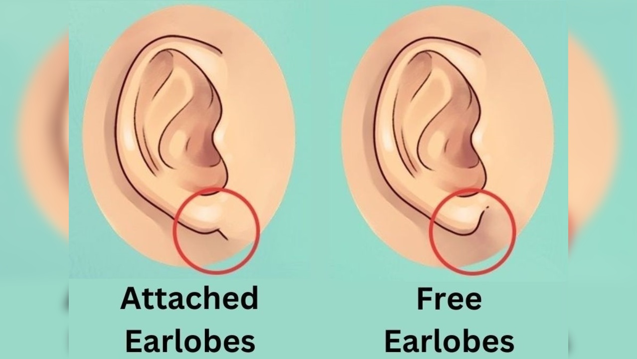 Optical Illusion Personality Test: Discover How Your Earlobes Can Reveal Your Hidden Traits