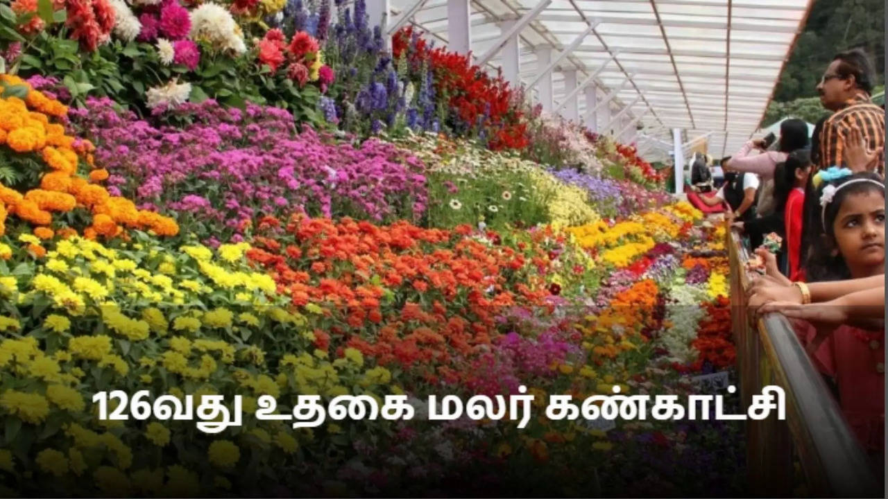 ooty flower show