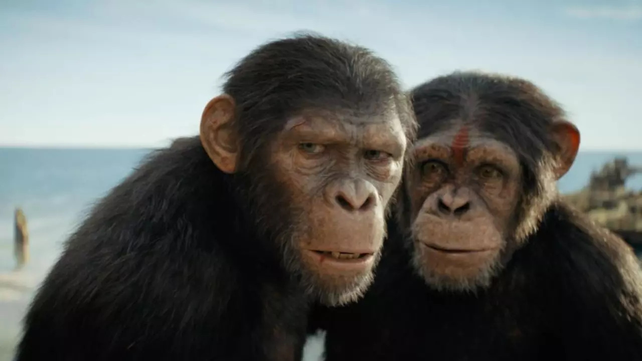 Ahead Of Watching Kingdom Of The Planet Of The Apes, Timeline Explained