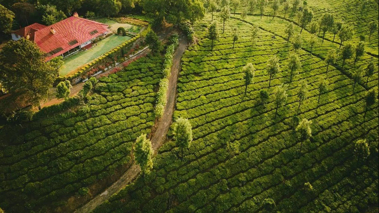 வயநாடு, கொடைக்கானலை விட கேரளாவின் இந்த குளுகுளு ஸ்பாட்டுக்கு ட்ரிப் ...