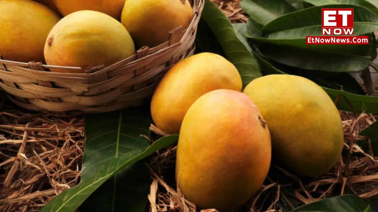 Mango Mela Bangalore 2024 Ready For A ‘Pulpy’ Event? Bengaluru’s