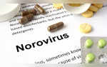 Norovirus Cases 75 Per Cent Higher Compared To 5-Year Average In UK Symptoms And Preventive Measures