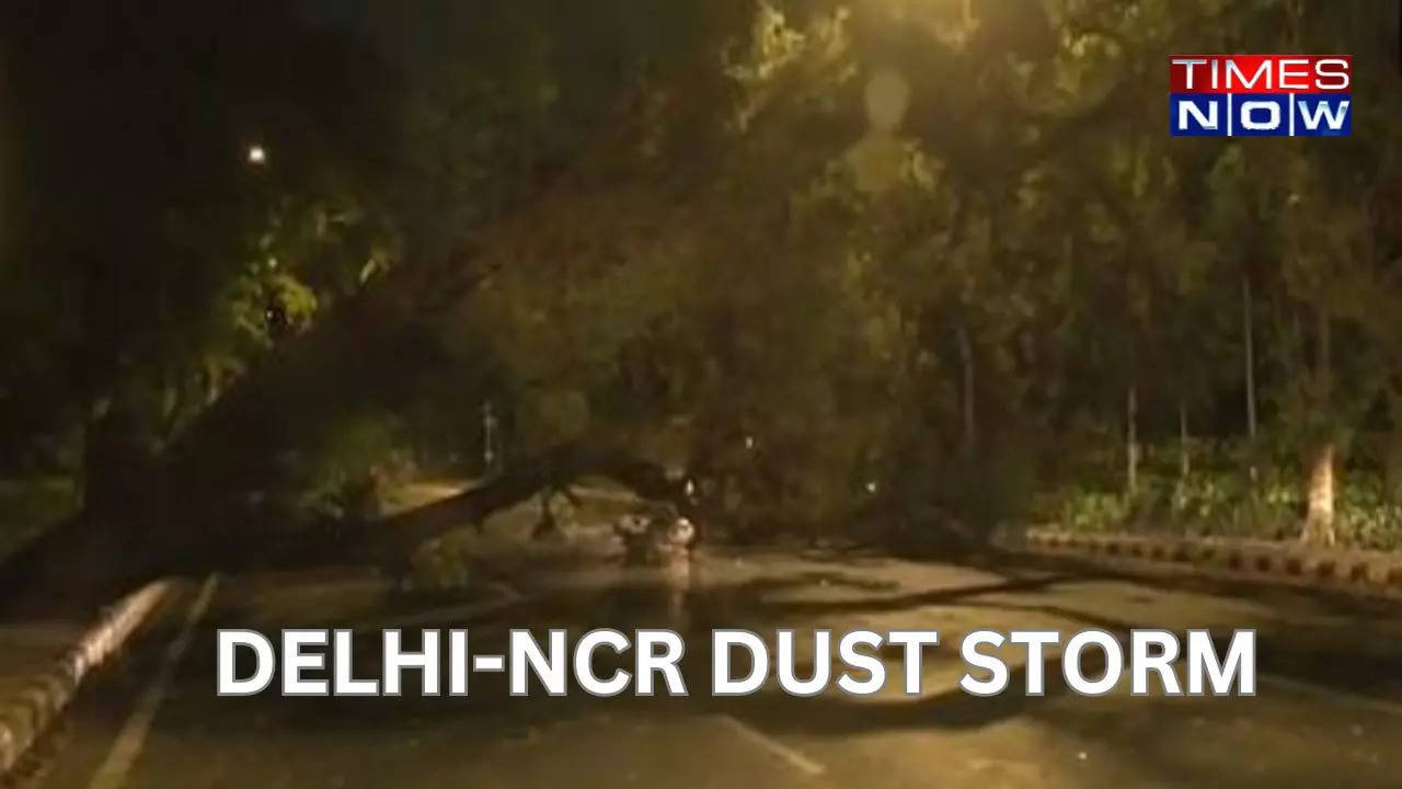 delhi storm:  shuttering installed for building repair in noida blows off, damaging several cars