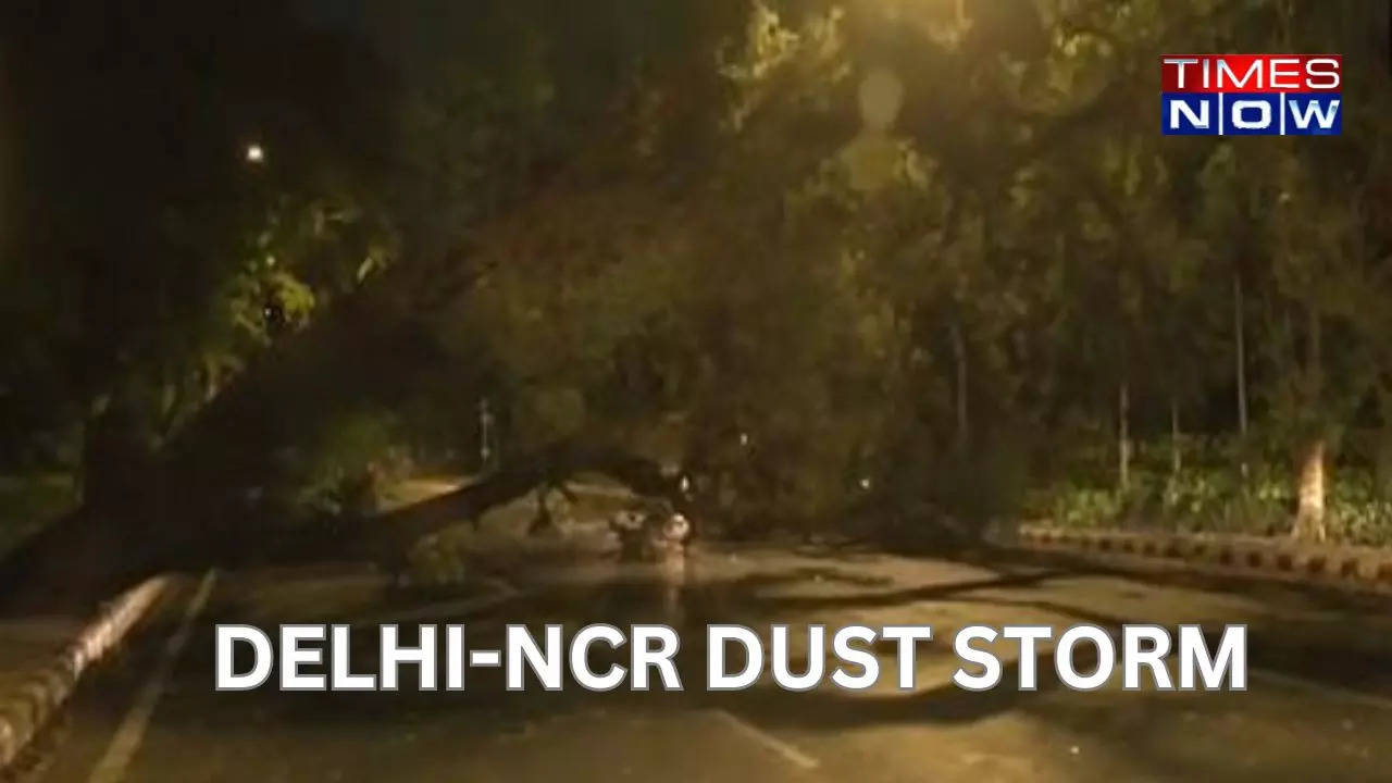 DELHI-NCR DUSTSTORM