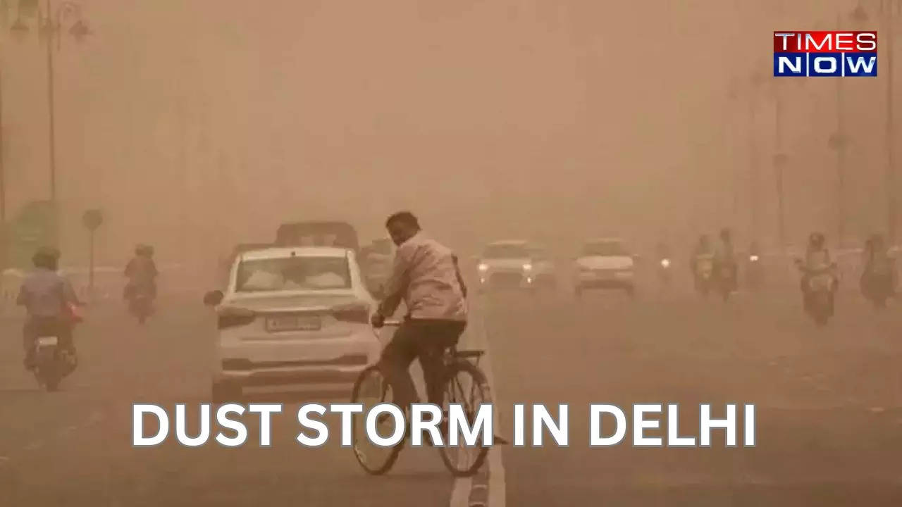 DELHI-NCR DUSTSTORM (1)