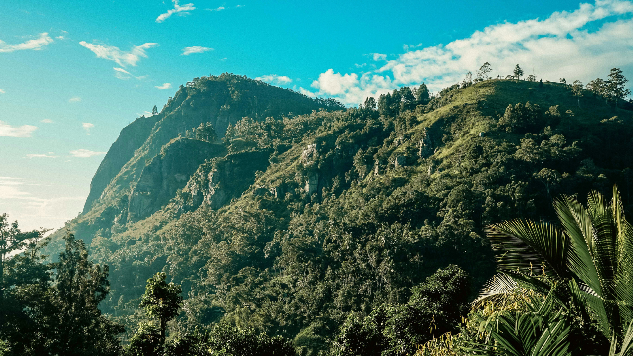 All You Need To Know To Take On The Ella Rock Hike, Image Credit - Unsplash