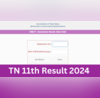 TN 11th Result 2024 Date LIVE Tamil Nadu HSE Plus One Results on May 14 at dgetngovin Know How to Check