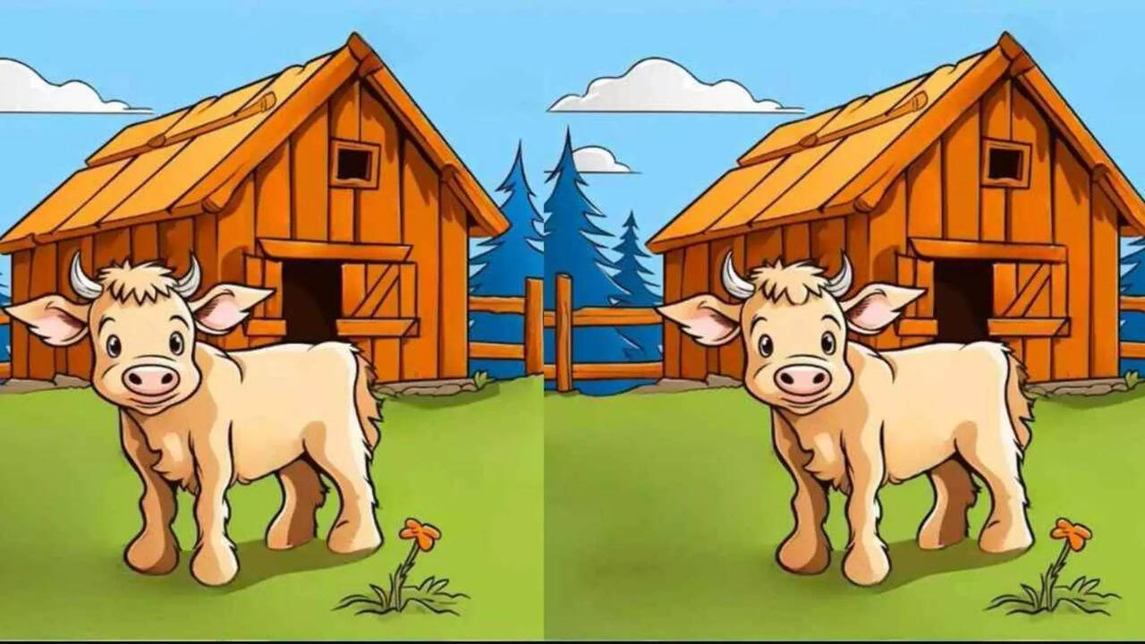  உங்கள் ஐக்யூவை சோதிக்கும் டெஸ்ட்.. 9 வினாடிகளில் 3 வித்தியாசங்களைக் கண்டுபிடிக்க முடியுமா? 