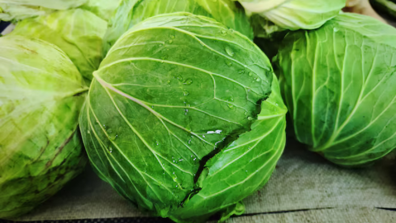 cabbage is good  for eyes know the more benefits in marathi