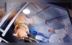 He Should Be Jailed Video of Man Brutally Hitting Pet Dog Surfaces Internet Demands Action