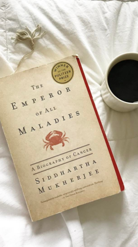 The Emperor of All Maladies Explained in 2 Minutes
