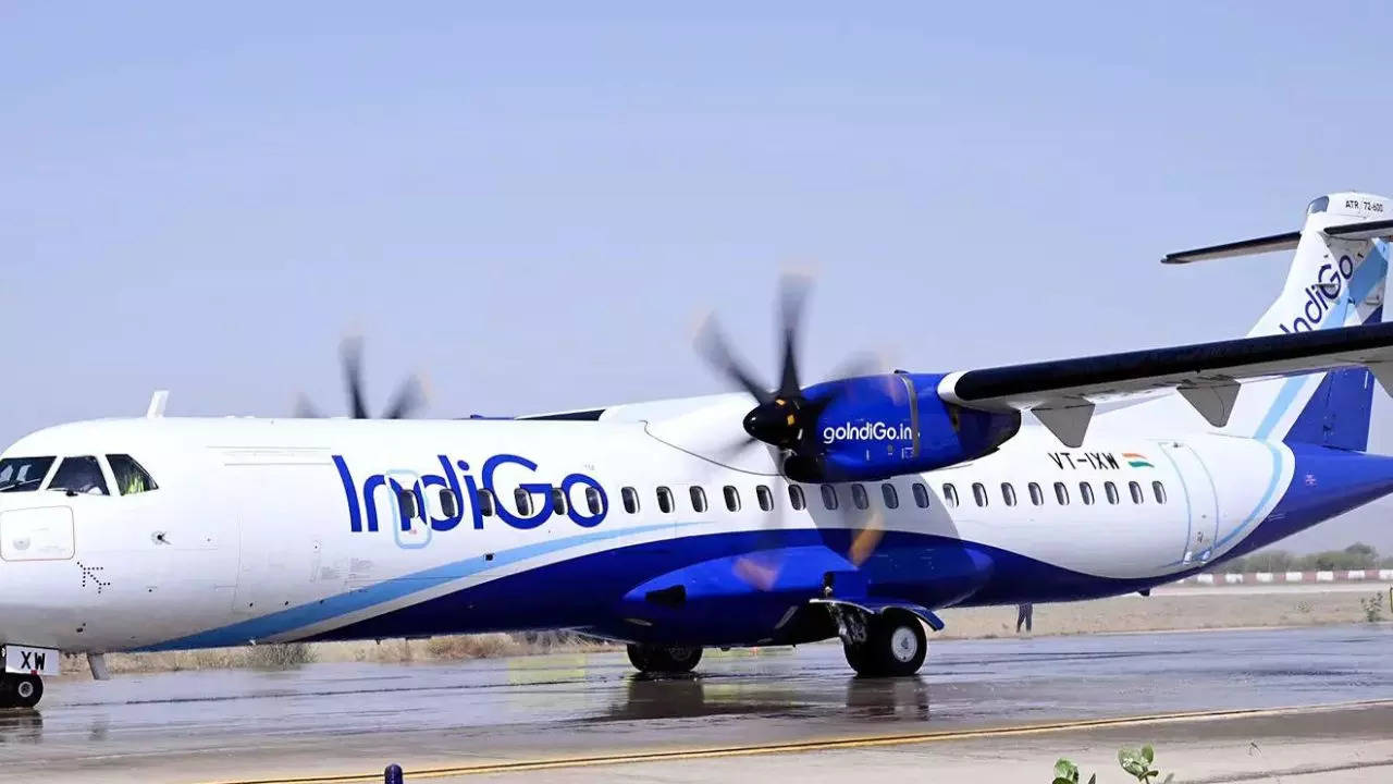 indigo,ani