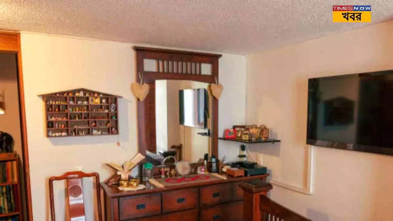 Vastu Tips For Dressing Table টাকা কি খুব বেশি খরচ হচ্ছে? ড্রেসিং