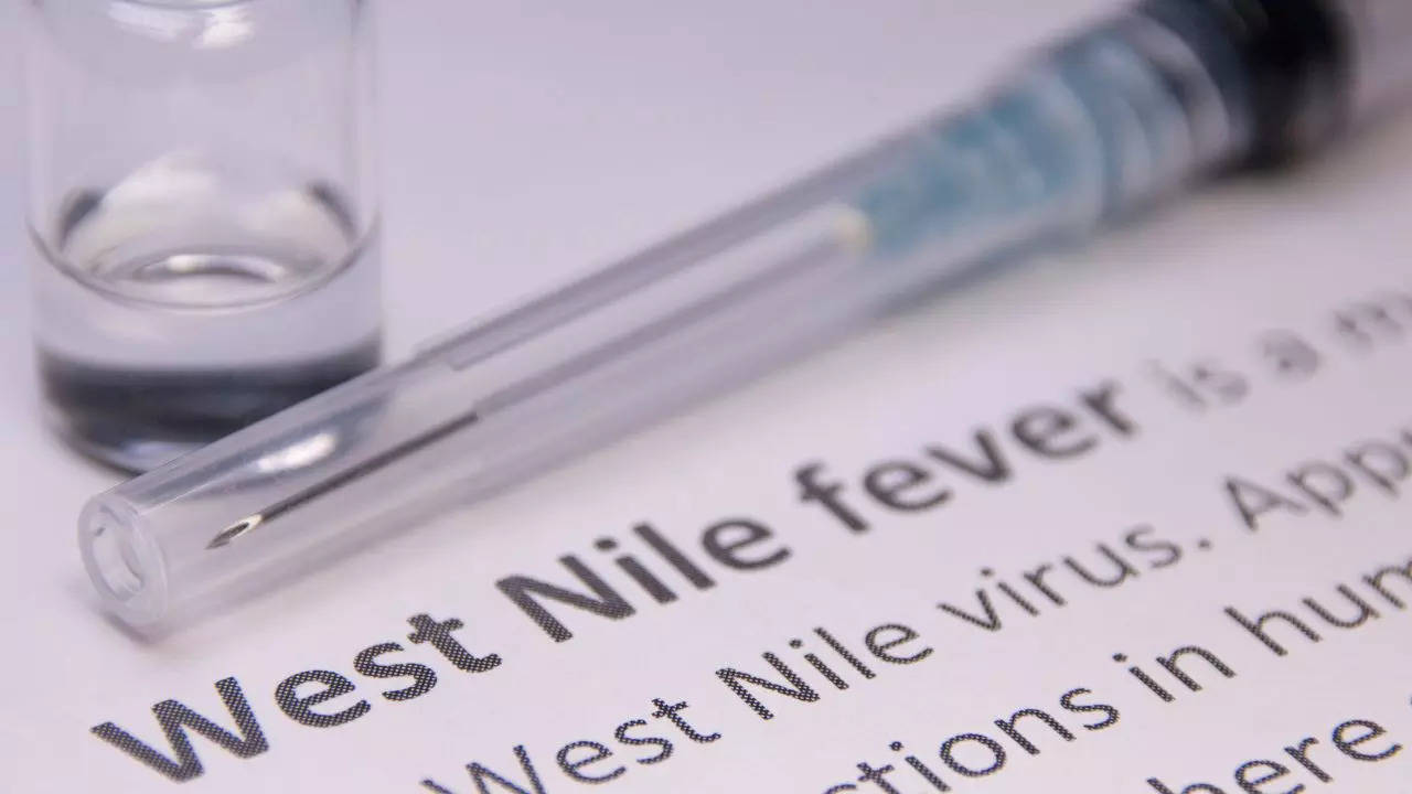 West Nile Fever outbreak in Kerala know its symptoms and remedies