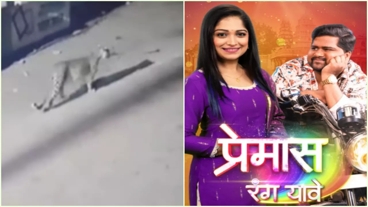 Leopard Enters Sets Of Marathi Show Premas Rang Yave, Video Goes Viral